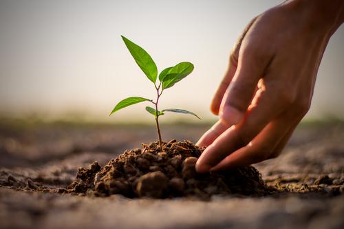 What is Sadaqah Jariyah? Best Examples in Islam