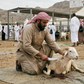 Dam, Kaffarah or Fidyah in Makkah – Fulfill Islamic Obligations Online